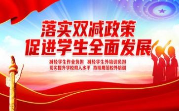 老师双减工作总结6篇