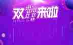 双十一销售工作总结7篇