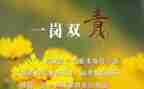 2024年一岗双责述职报告5篇