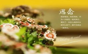 我思念作文参考5篇