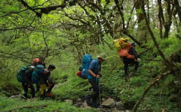 作文探险之旅400字优质7篇