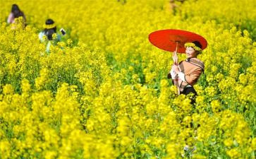 踏青活动方案精选8篇