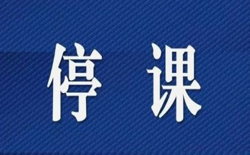 教师停课不停学心得体会8篇