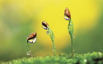 与....同行作文优质5篇