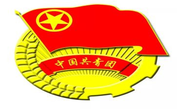 团组织工作总结报告6篇