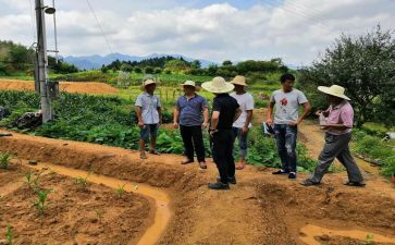 土管员述职报告通用6篇