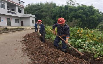 土管员述职报告参考6篇