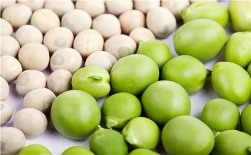 读豌豆上的公主读后感8篇