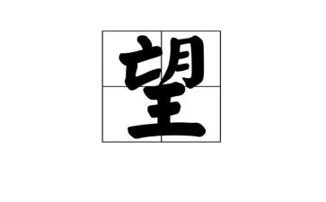 我希望_______作文模板8篇