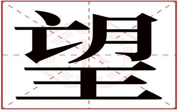 2024我的愿望作文300字优秀8篇