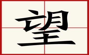 2024我的愿望作文300字8篇