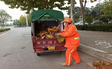 学校卫工作计划精选6篇