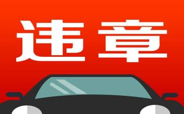 违章与反违章心得体会5篇