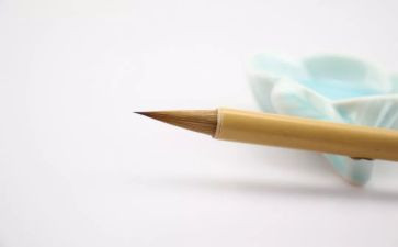 我的情思作文7篇