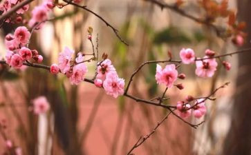 我在变作文记叙文作文精选8篇