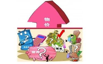 物价上涨的调查报告5篇