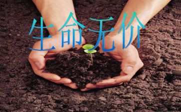 无价的爱演讲稿7篇