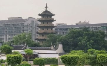 乌塔的心得体会8篇