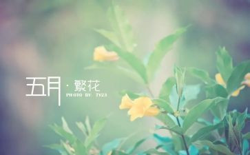 五月份工作总结推荐8篇