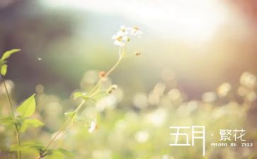 写五月的演讲稿优质7篇
