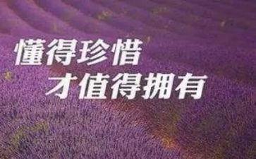 珍惜校园演讲稿5篇