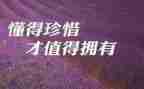 珍惜校园演讲稿5篇