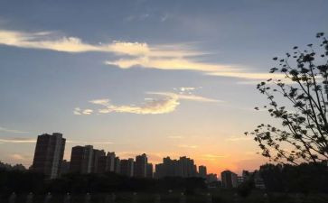 五下班队工作总结优质8篇