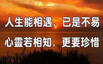 我与——相遇作文最新7篇