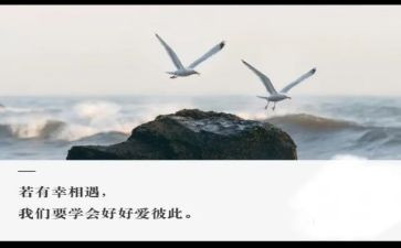 我与相遇500作文6篇