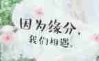 我与相遇作文优质5篇