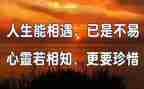 我与——相遇作文最新7篇
