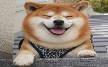 微笑面对生活作文600字8篇