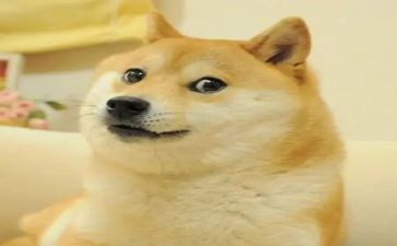 我的笑作文600字6篇