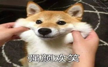 微笑歌演讲稿推荐8篇