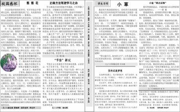 校报社申请书5篇