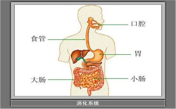 蒙医消化科工作计划6篇