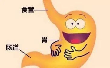 消化内科心得体会6篇
