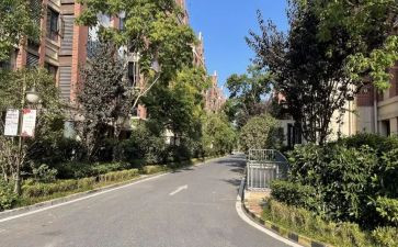 小区物业的工作总结及计划8篇