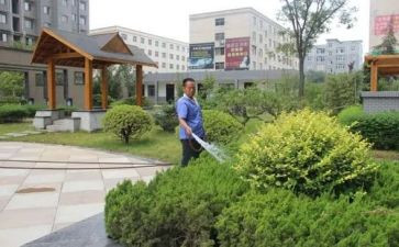 小区物业保洁月工作总结8篇