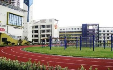 小学语文听课体会心得体会模板8篇