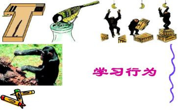 行为规范心得体会推荐8篇
