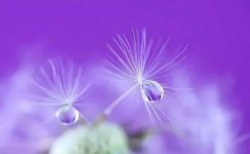 心声类作文模板8篇