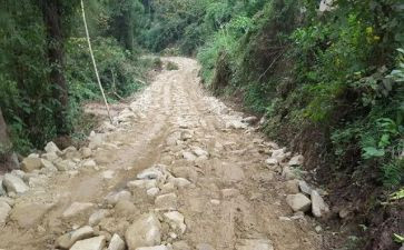 修道路申请书5篇
