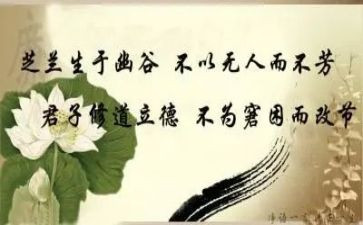 修身心得体会6篇