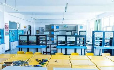 大学生选专业调查报告6篇