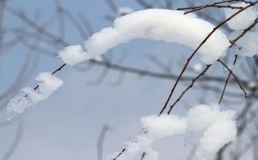 除雪心得体会200字7篇