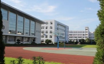 学校的心得体会最新8篇
