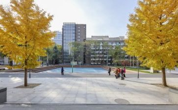 学校心得体会通用8篇