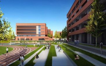 2024学校个人述职报告精选7篇