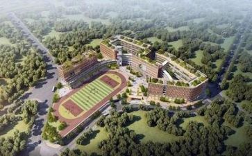 学校感悟心得5篇